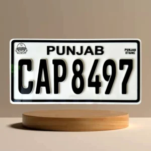 3D Original Number Plate